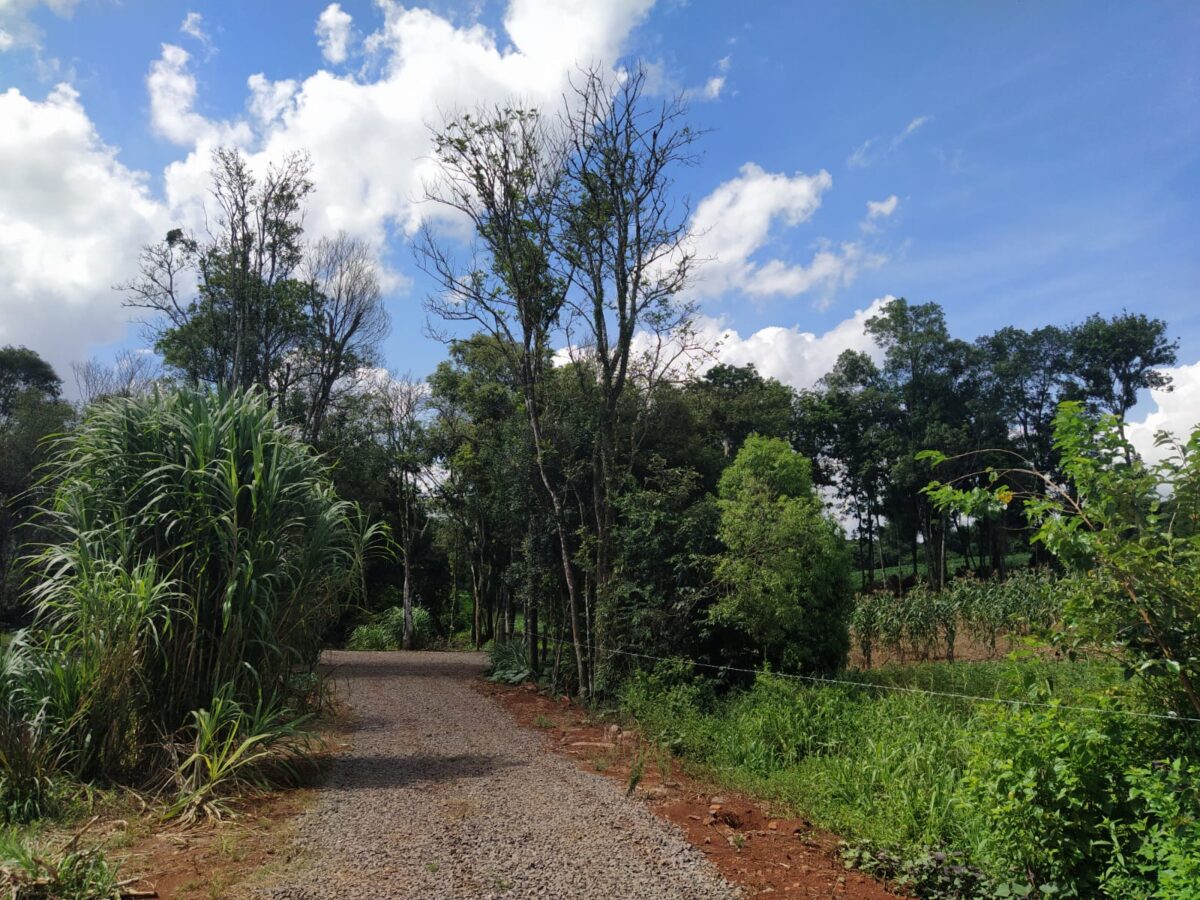 Área de terra